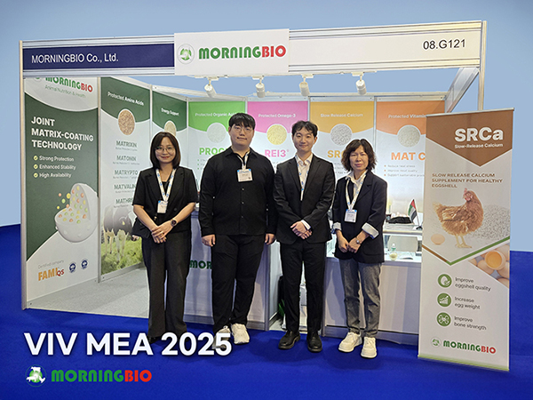 ae749582337c398e506365e7e117b04e_1765356982_1804.jpg ae749582337c398e506365e7e117b04e_1765356982_1804.jpg