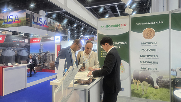 ae749582337c398e506365e7e117b04e_1765356982_9005.jpg ae749582337c398e506365e7e117b04e_1765356982_9005.jpg