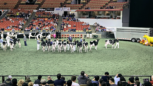 ff7b3370ca2366add6033b1da65d295d_1791963331_3313.jpg